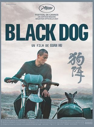 Black Dog Black Dog
