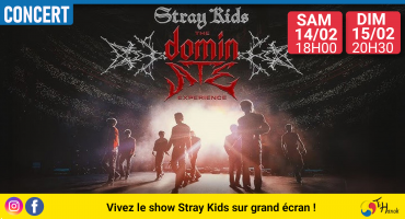 Stray Kids: The dominATE Experience