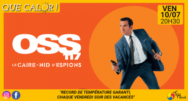 OSS 117, Le Caire nid d'espions