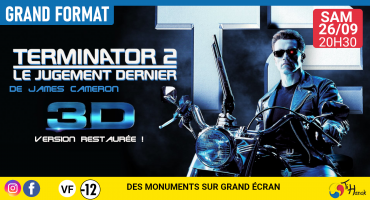 Terminator 2 en 3D