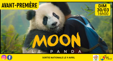 Moon le panda