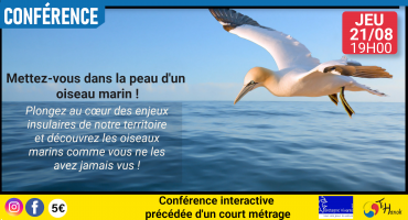 Conférence sur les oiseaux marins