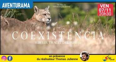Coexistencia, sur les traces des Pumas Coexistencia, sur les traces des Pumas
