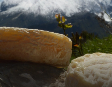 Massifs qui donnent le cheese