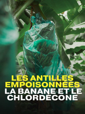 Les Antilles empoisonnées, la banane et le chlordécone : Scandale écologique et sanitaire