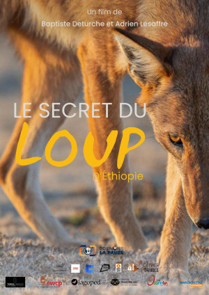 Le Secret du Loup d´Éthiopie